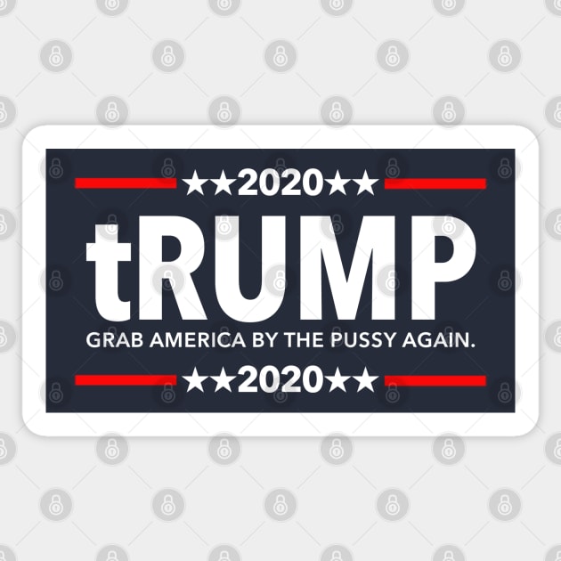 Trump 2020 Grab America By the Pussy Again Sticker by Tainted